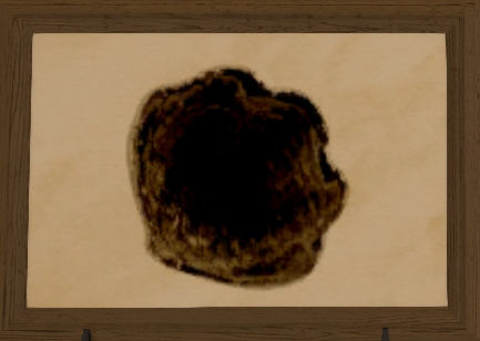 File:Auroral Clam print.png