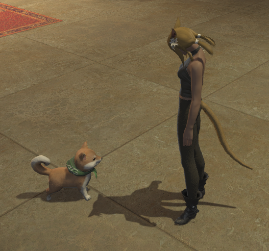 File:Mameshiba scale.png