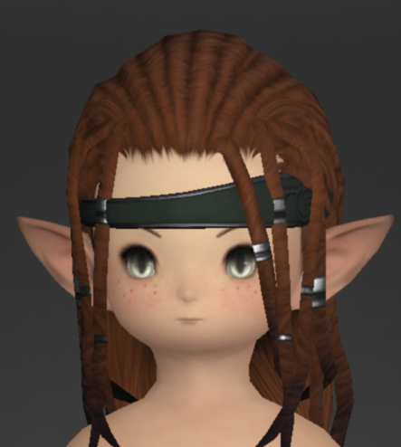 File:Gajaskin Circlet of Healing 1.png