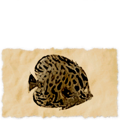 File:Snakeskin discus.png