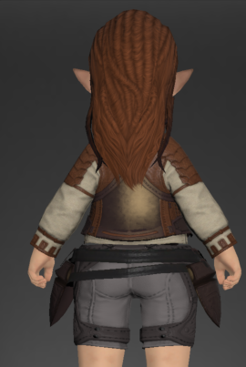 File:Bronze Cuirass 3.png