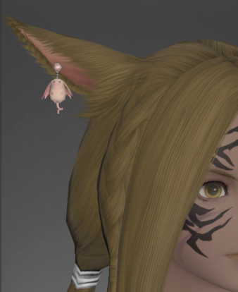 File:Porxie Earrings front.png