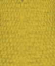 File:Canary Yellow.png