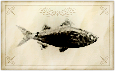 File:Shuckfin dace.png