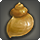 Common whelk icon1.png