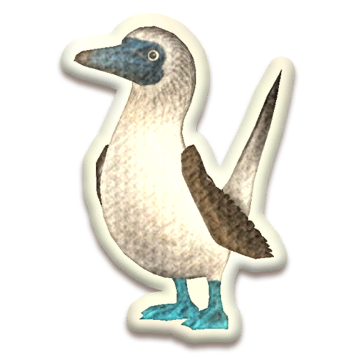 File:Blue-footed Booby Plate Accent.png