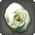 Dried white oldrose icon1.png