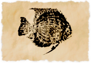 File:Fallen leaf.png