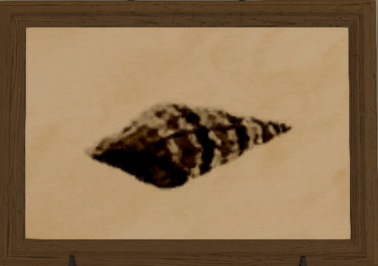 File:Ogre Horn Snail print.png