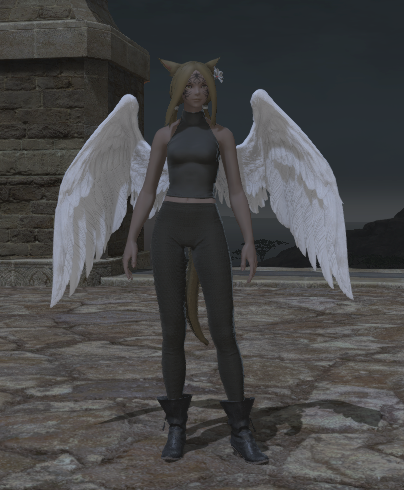 File:Angel Wings front.png