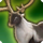 Make it reindeer icon1.png