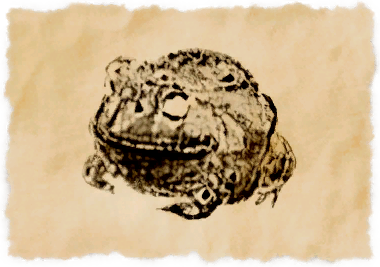 File:Bullfrog.png