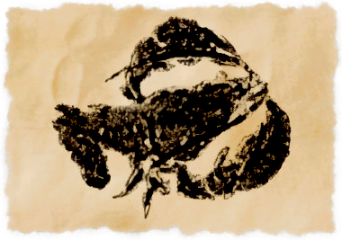 File:Xobr'it lobster.png