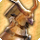 Ixal card icon1.png