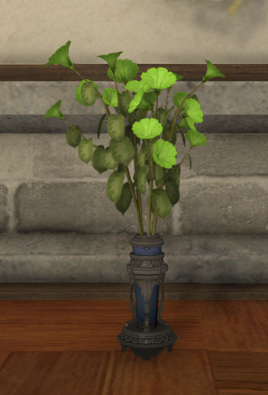 File:Green Morning Glories.png