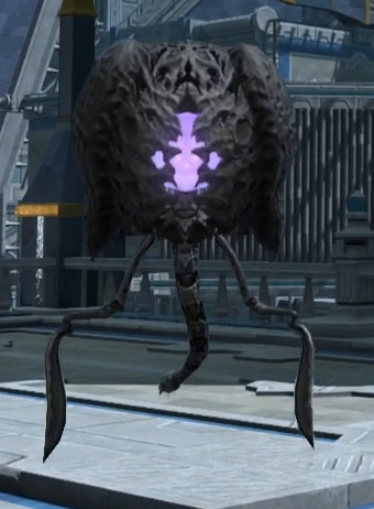 File:Smiley Wanderer.jpg