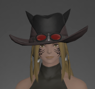 File:Weathered Gunslinger's Hat front.png
