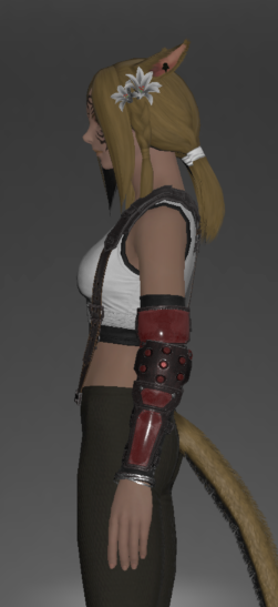 File:Avalanche Brawler's Top left side.png