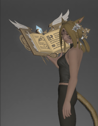 File:Last Resort Replica inside.png