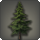 Cedar tree icon1.png