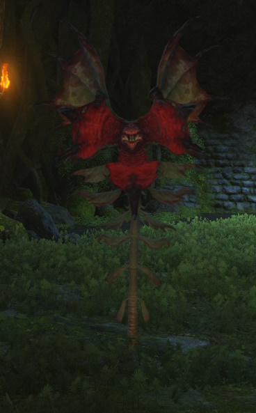 File:Mun-Tuy Sapling.jpg