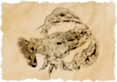 File:Vacuum shrimp.png