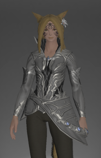 File:Omicron Jacket of Aiming front.png