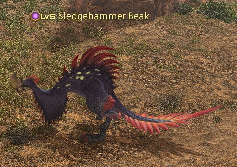 File:Sledgehammer Beak.jpg