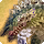 Pisaca card icon1.png