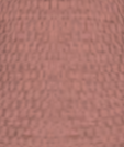 File:Rose Pink.png