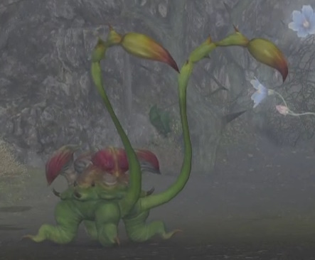 File:Blooming Ochu.jpg