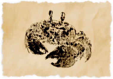 File:Broken crab.png