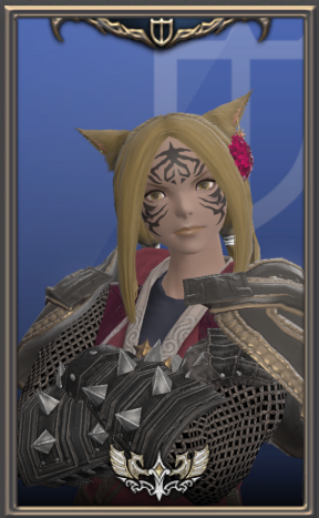 File:Paladin (Simple) Portrait Preset example.png