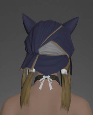 File:Carborundum Bandana of Striking rear.png