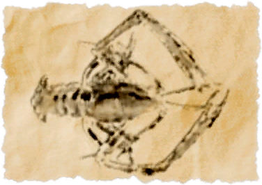 File:Iq ebaji.png