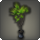 Potted dragon tree icon1.png