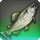 Hardhead trout icon1.png