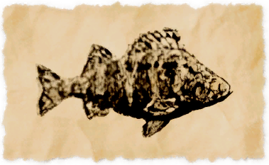 File:Hinterlands perch.png