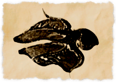 File:King's mantle.png