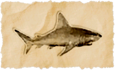 File:Silent shark.png