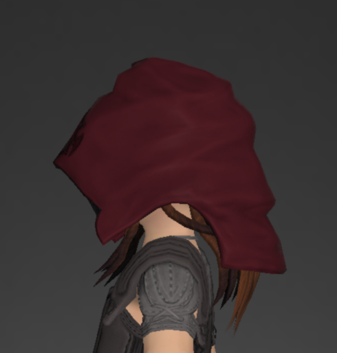 File:Marid Leather Hood of Striking 2.png