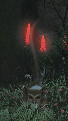 File:Gully Galago.jpg