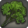 Highland parsley icon1.png