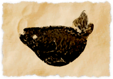 File:Lakeland cod.png