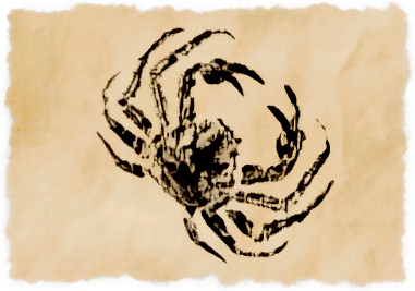 File:Tortoiseshell crab.png