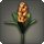 Orange hyacinths icon1.png