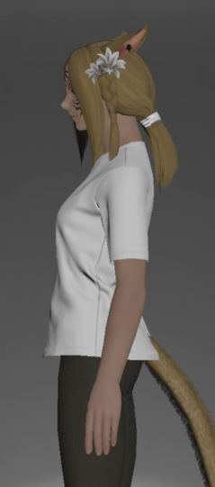 File:Plain Neotunic side.png