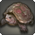 Grade 4 skybuilders tortoise icon1.png