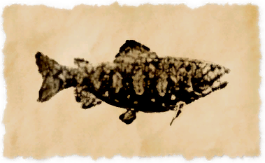 File:Crimson trout.png