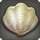 Gigant clam icon1.png